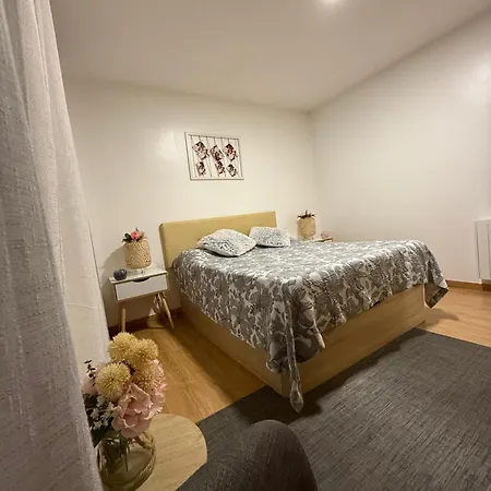 Apartamento Centro Ciudad, Con Garaje